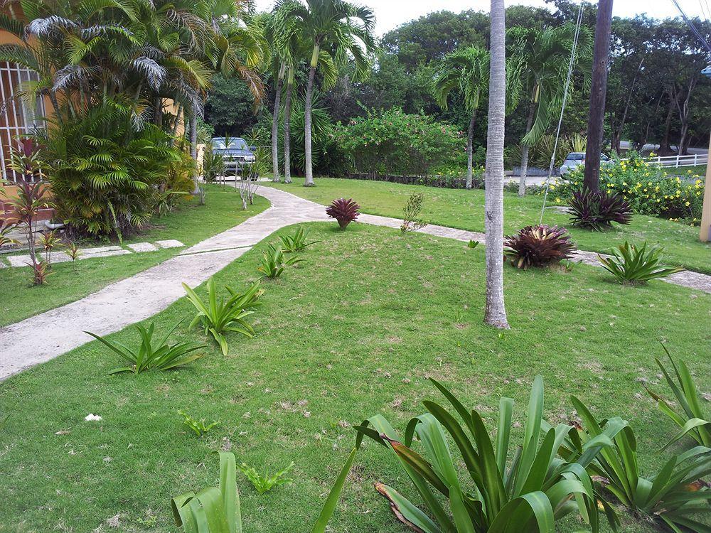 The Crow'S Nest Inn Vieques Exterior photo